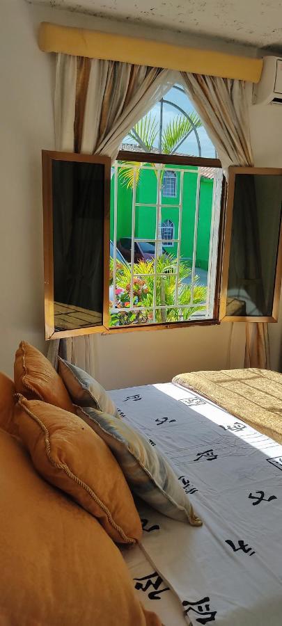 Bella Suite Frente Al Aeropuerto Catia La Mar 외부 사진